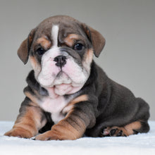 RIO - $3,300