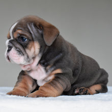 RIO - $3,300