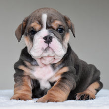 RIO - $3,300