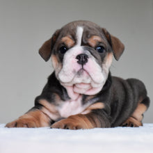 RIO - $3,300