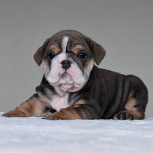 RIO - $3,300
