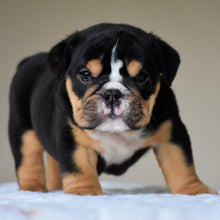 ROMY - $3,200