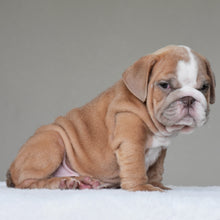 BUBBA - $3000