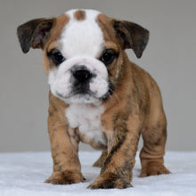 THEO - $2,800