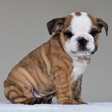 THEO - $2,800