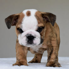 THEO - $2,800
