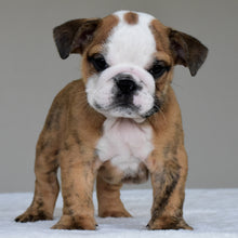 THEO - $2,800