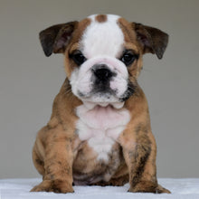 THEO - $2,800