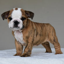 THEO - $2,800