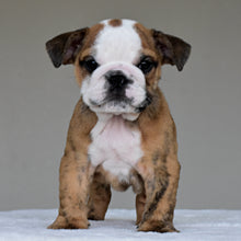 THEO - $2,800