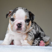 ZION - $3,500