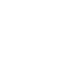 Healthy & Vet Checked